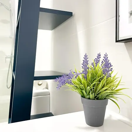 Urban By Holidays Fuerteventura *