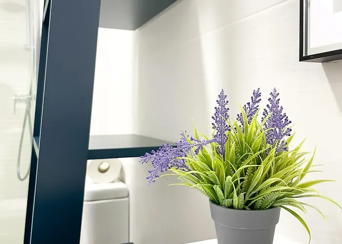 Urban By Holidays Fuerteventura *